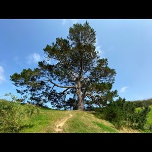 Meet your Posher, Clint